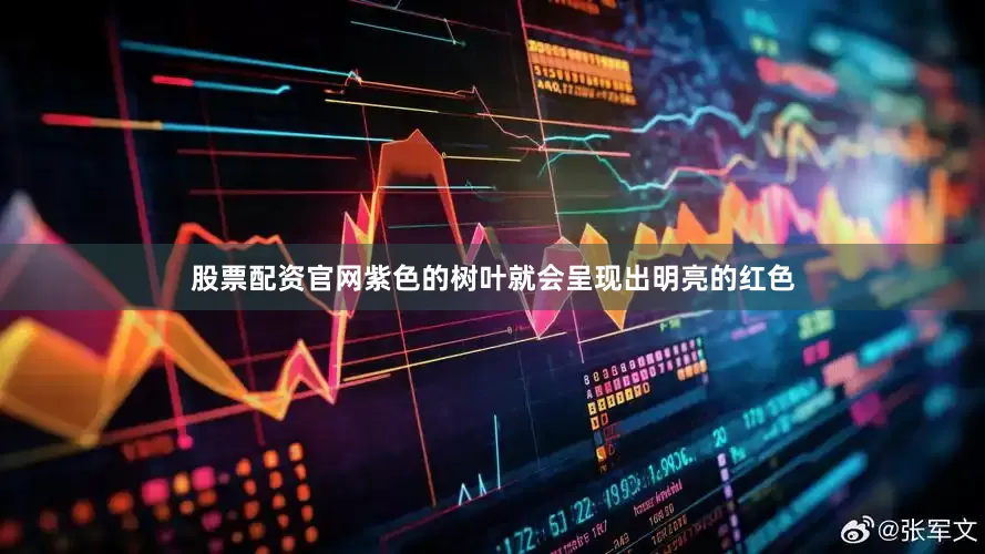 股票配资官网紫色的树叶就会呈现出明亮的红色