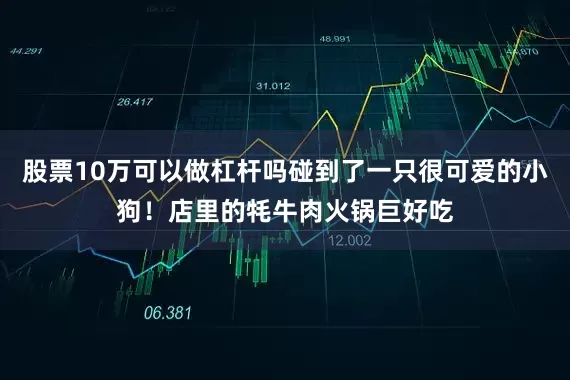 股票10万可以做杠杆吗碰到了一只很可爱的小狗！店里的牦牛肉火锅巨好吃